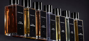 Collection Homme
